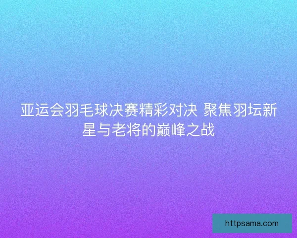 亚运会羽毛球决赛精彩对决 聚焦羽坛新星与老将的巅峰之战
