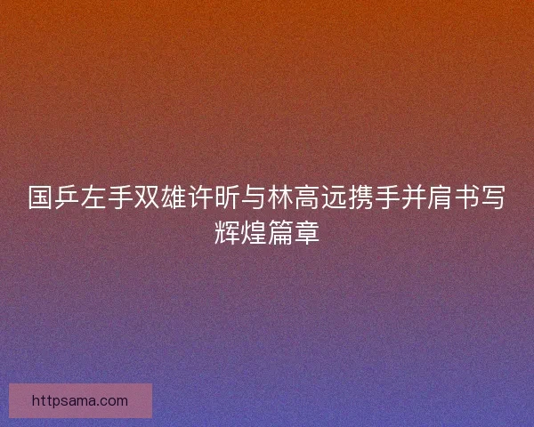 国乒左手双雄许昕与林高远携手并肩书写辉煌篇章